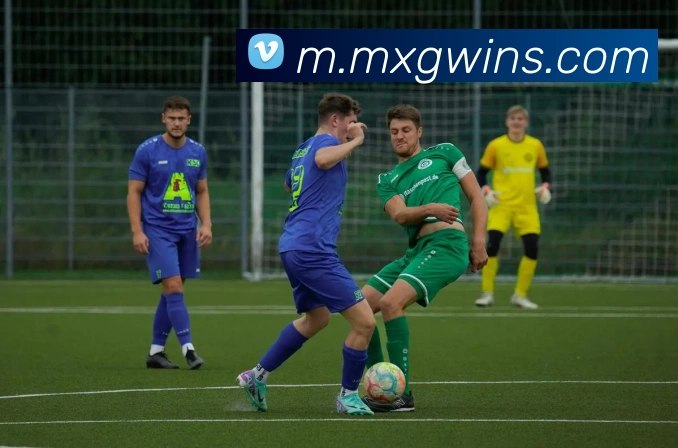 赛事专题整合